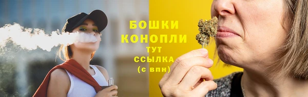 индика Заводоуковск