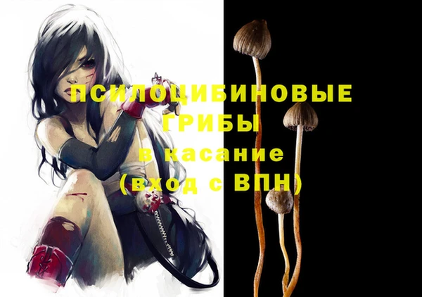 мдпв Осинники