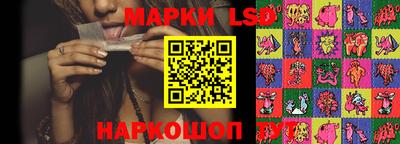 дмт Краснодар